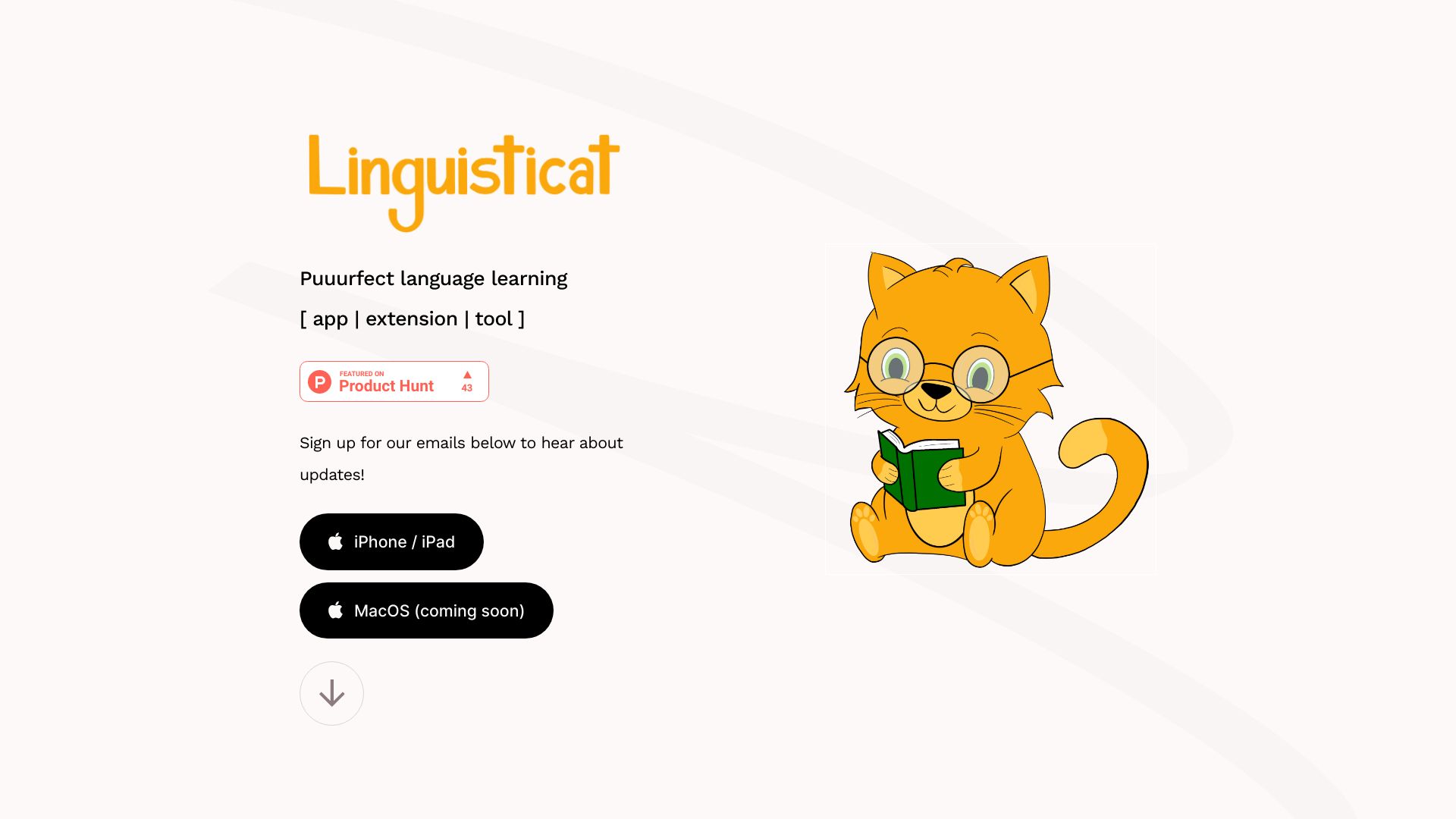 Linguisticat网页截图,Linguisticat网页快照