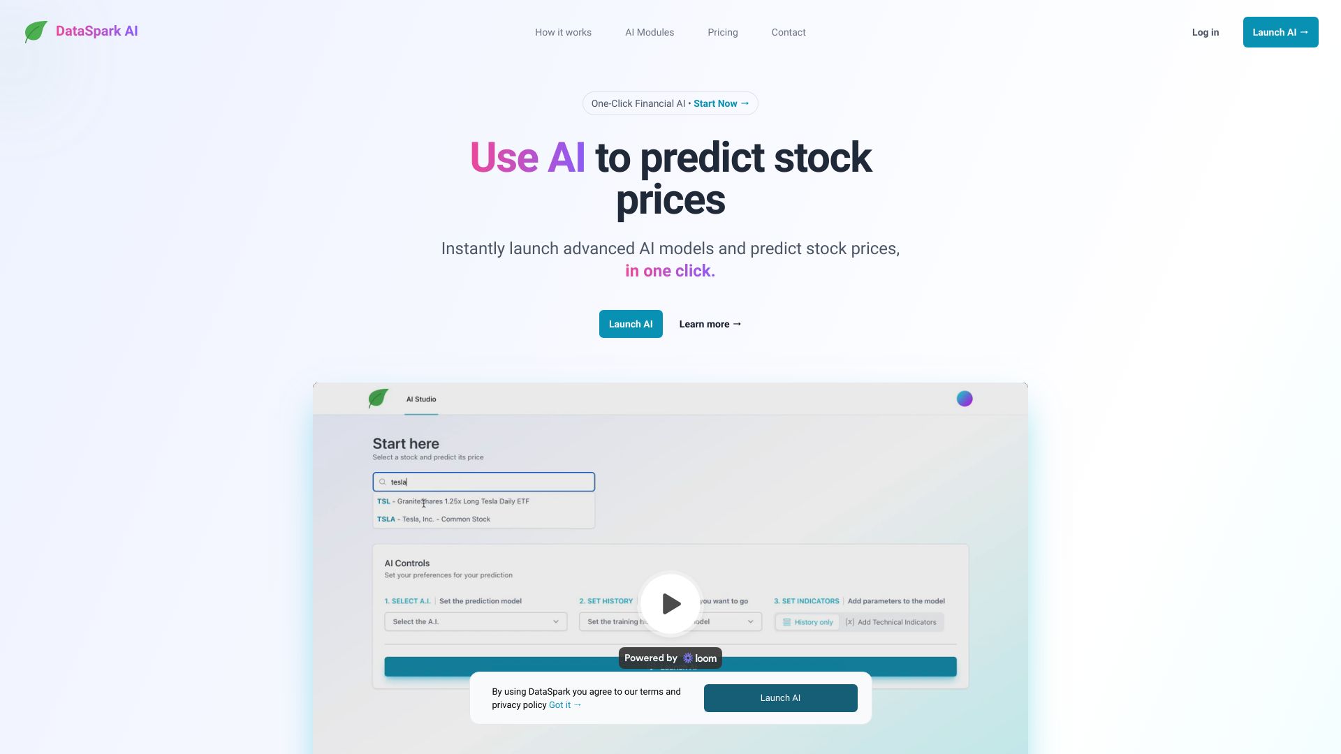 DataSpark AI网页截图,DataSpark AI网页快照
