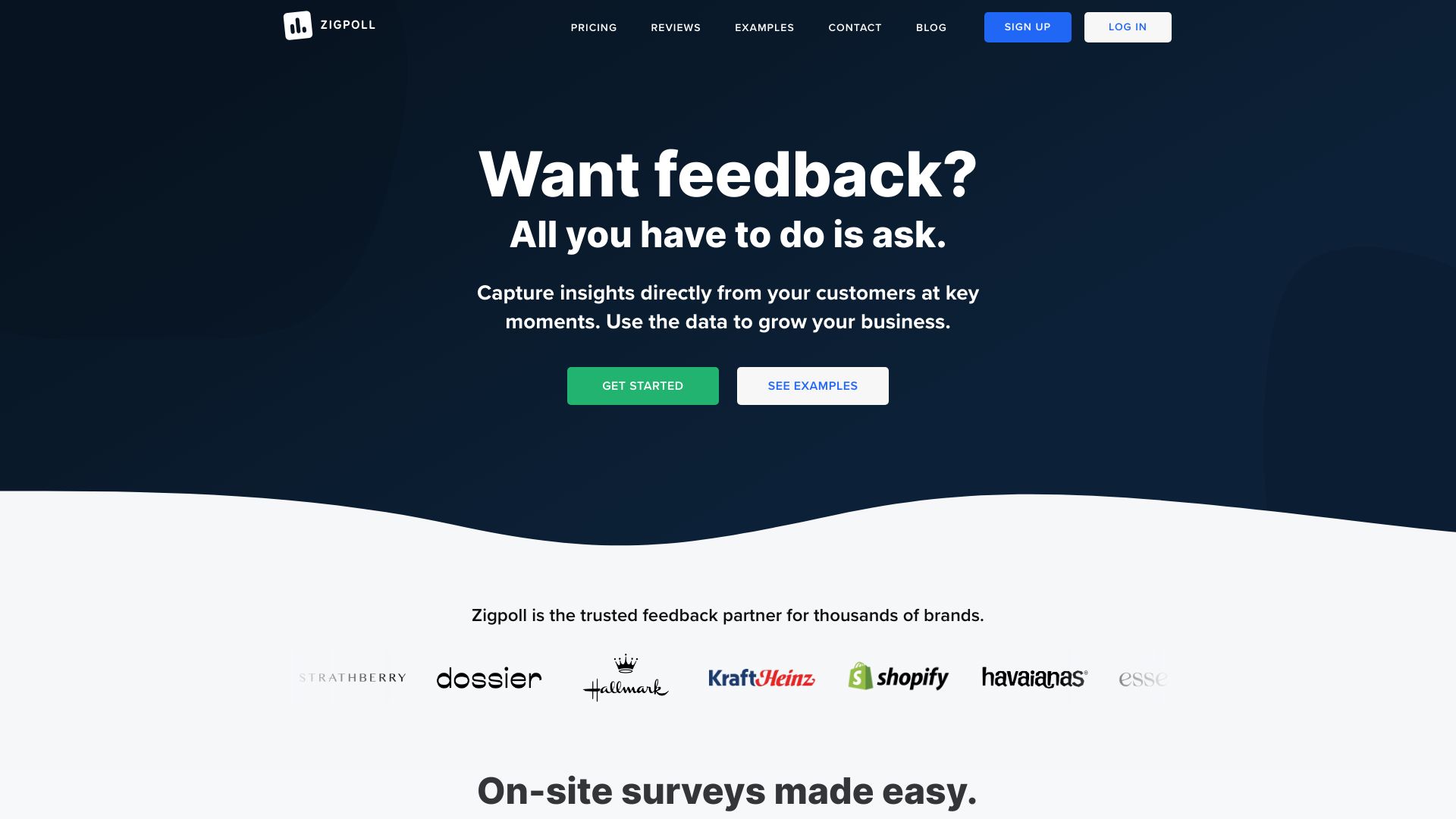 Zigpoll AI网页截图,Zigpoll AI网页快照
