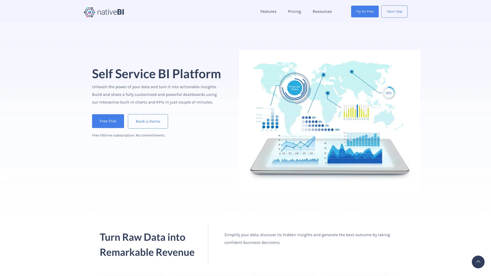 NativeBI网页截图,NativeBI网页快照