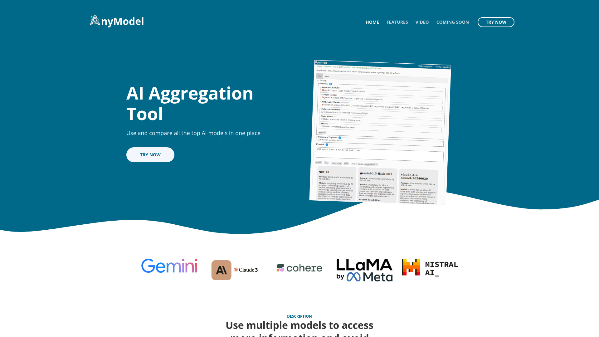AnyModel网页截图,AnyModel网页快照