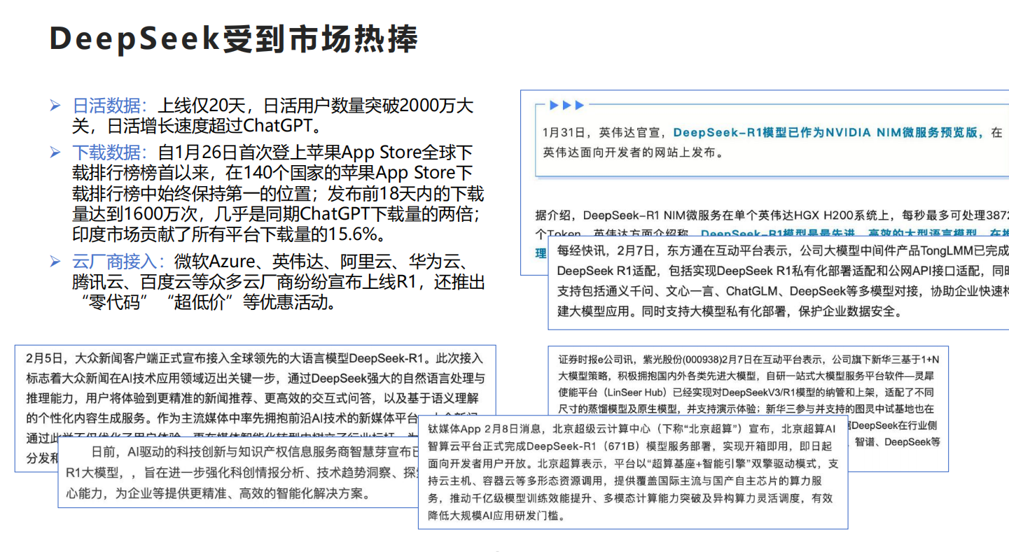 2025年DeepSeek行业应用实践报告