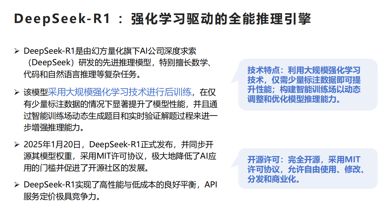 2025年DeepSeek行业应用实践报告