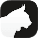 AI Code Creator